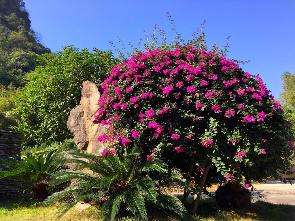 Snow Lion Riverside Resort Yangshuo Esterno foto